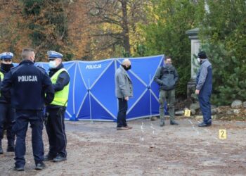 Śmiertelny wypadek w Krasiejowie / Mario