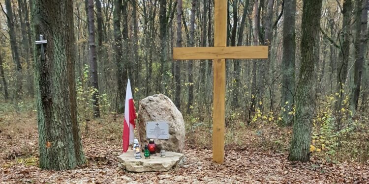 14.11.2020. Las Kotecki k. Buska-Zdroju. Pomnik żołnierzy NSZ oraz ich dowódcy por. Stanisława Sikorskiego ps. "Jarema" / Katarzyna Gadawska