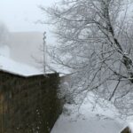 29.11.2020. Święty Krzyż. Zima / Robert Felczak / Radio Kielce