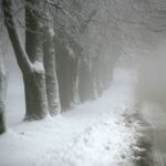 29.11.2020. Święty Krzyż. Zima / Robert Felczak / Radio Kielce