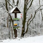 29.11.2020. Święty Krzyż. Zima / Robert Felczak / Radio Kielce