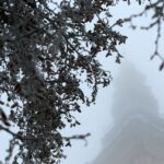 29.11.2020. Święty Krzyż. Zima / Robert Felczak / Radio Kielce