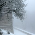 29.11.2020. Święty Krzyż. Zima / Robert Felczak / Radio Kielce