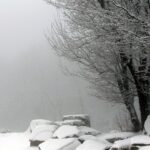 29.11.2020. Święty Krzyż. Zima / Robert Felczak / Radio Kielce