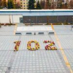 10.11.2020. Sandomierz. 102 różnokolorowe chryzantemy układające się w liczbę "102" na Placu 3 Maja / Urząd Miasta Sandomierza