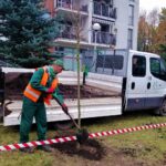 10.11.2020. Kielce. Sadzenie drzew w Parku Kielczan / RPZiUK