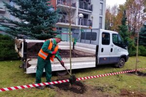 10.11.2020. Kielce. Sadzenie drzew w Parku Kielczan / RPZiUK