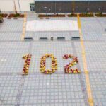 10.11.2020. Sandomierz. 102 różnokolorowe chryzantemy układające się w liczbę "102" na Placu 3 Maja / Urząd Miasta Sandomierza