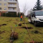 10.11.2020. Kielce. Sadzenie drzew w Parku Kielczan / RPZiUK