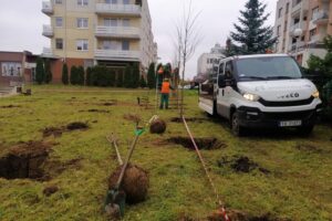 10.11.2020. Kielce. Sadzenie drzew w Parku Kielczan / RPZiUK