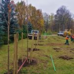 10.11.2020. Kielce. Sadzenie drzew w Parku Kielczan / RPZiUK