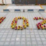 10.11.2020. Sandomierz. 102 różnokolorowe chryzantemy układające się w liczbę "102" na Placu 3 Maja / Urząd Miasta Sandomierza