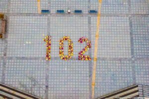 10.11.2020. Sandomierz. 102 różnokolorowe chryzantemy układające się w liczbę "102" na Placu 3 Maja / Urząd Miasta Sandomierza