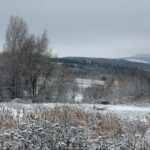 29.11.2020. Zima w Górach Świętokrzyskich / Robert Felczak / Radio Kielce