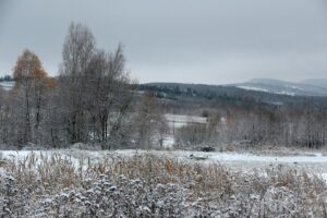 29.11.2020. Zima w Górach Świętokrzyskich / Robert Felczak / Radio Kielce