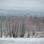 29.11.2020. Zima w Górach Świętokrzyskich / Robert Felczak / Radio Kielce