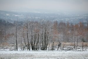 29.11.2020. Zima w Górach Świętokrzyskich / Robert Felczak / Radio Kielce