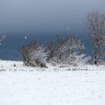 29.11.2020. Zima w Górach Świętokrzyskich / Robert Felczak / Radio Kielce