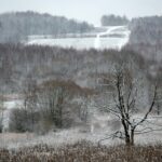 29.11.2020. Zima w Górach Świętokrzyskich / Robert Felczak / Radio Kielce