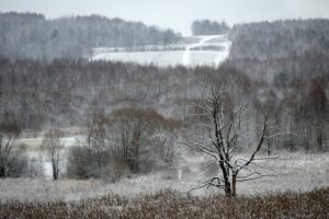 29.11.2020. Zima w Górach Świętokrzyskich / Robert Felczak / Radio Kielce