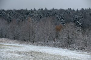 29.11.2020. Zima w Górach Świętokrzyskich / Robert Felczak / Radio Kielce