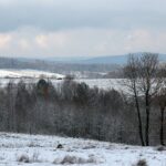 29.11.2020. Zima w Górach Świętokrzyskich / Robert Felczak / Radio Kielce