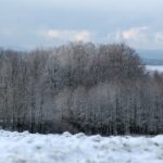 29.11.2020. Zima w Górach Świętokrzyskich / Robert Felczak / Radio Kielce