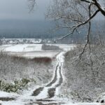 29.11.2020. Zima w Górach Świętokrzyskich / Robert Felczak / Radio Kielce