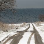 29.11.2020. Zima w Górach Świętokrzyskich / Robert Felczak / Radio Kielce