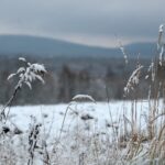 29.11.2020. Zima w Górach Świętokrzyskich / Robert Felczak / Radio Kielce
