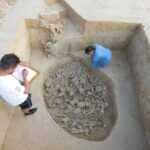 04.11.2020 Sadowie. Stanowisko archeologiczne. Dokumentacja grobu niszowego kultury złockiej / Wojciech Pasterkiewicz / Instytut Archeologii Uniwersytetu Rzeszowskiego