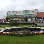 03.11.2020. Jędrzejów. Chryzantemy na Rynku / Ewa Pociejowska-Gawęda / Radio Kielce