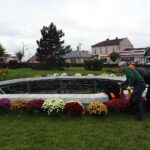 03.11.2020. Jędrzejów. Chryzantemy na Rynku / Ewa Pociejowska-Gawęda / Radio Kielce