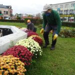 03.11.2020. Jędrzejów. Chryzantemy na Rynku / Ewa Pociejowska-Gawęda / Radio Kielce
