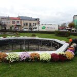 03.11.2020. Jędrzejów. Chryzantemy na Rynku / Ewa Pociejowska-Gawęda / Radio Kielce