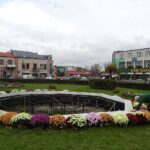 03.11.2020. Jędrzejów. Chryzantemy na Rynku / Ewa Pociejowska-Gawęda / Radio Kielce