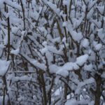 29.11.2020. Kielce. Zima w Kielcach / Piotr Kwaśniewski / Radio Kielce