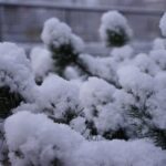 29.11.2020. Kielce. Zima w Kielcach / Piotr Kwaśniewski / Radio Kielce