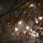 08.11.2020 Kielce. Poranna mgła / Robert Felczak / Radio Kielce