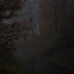 08.11.2020 Kielce. Poranna mgła / Robert Felczak / Radio Kielce