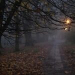 08.11.2020 Kielce. Poranna mgła / Robert Felczak / Radio Kielce