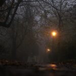 08.11.2020 Kielce. Poranna mgła / Robert Felczak / Radio Kielce