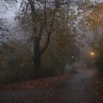 08.11.2020 Kielce. Poranna mgła / Robert Felczak / Radio Kielce