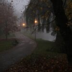 08.11.2020 Kielce. Poranna mgła / Robert Felczak / Radio Kielce