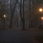 08.11.2020 Kielce. Poranna mgła / Robert Felczak / Radio Kielce