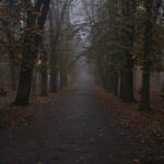 08.11.2020 Kielce. Poranna mgła / Robert Felczak / Radio Kielce