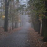 08.11.2020 Kielce. Poranna mgła / Robert Felczak / Radio Kielce