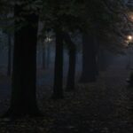 08.11.2020 Kielce. Poranna mgła / Robert Felczak / Radio Kielce