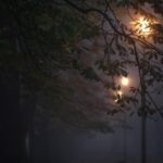 08.11.2020 Kielce. Poranna mgła / Robert Felczak / Radio Kielce