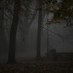 08.11.2020 Kielce. Poranna mgła / Robert Felczak / Radio Kielce